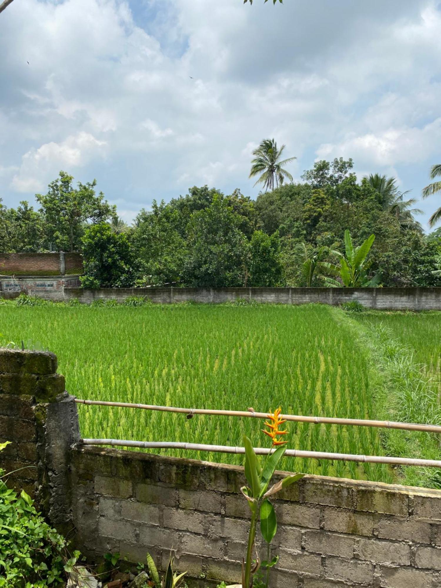 Kembang Kuning Cottages Tetebatu Exterior foto