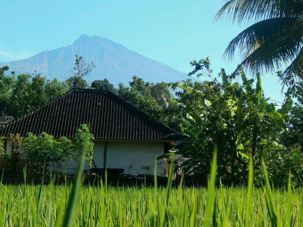 Kembang Kuning Cottages Tetebatu Exterior foto